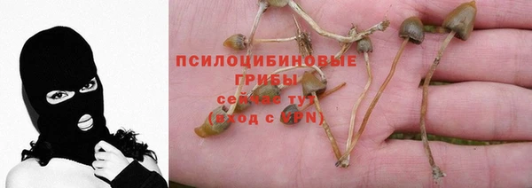 мяу мяу кристалл Алексин
